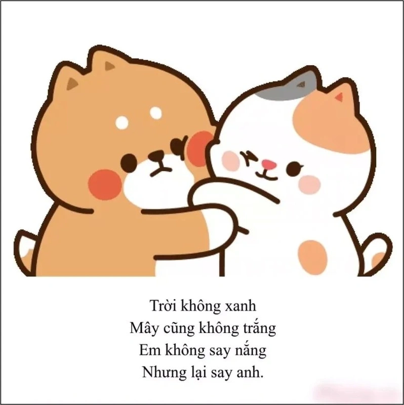 Meme thả thính hài hước, vừa vui nhộn lại đầy sáng tạo, sẽ giúp bạn ghi điểm trong mắt người ấy.