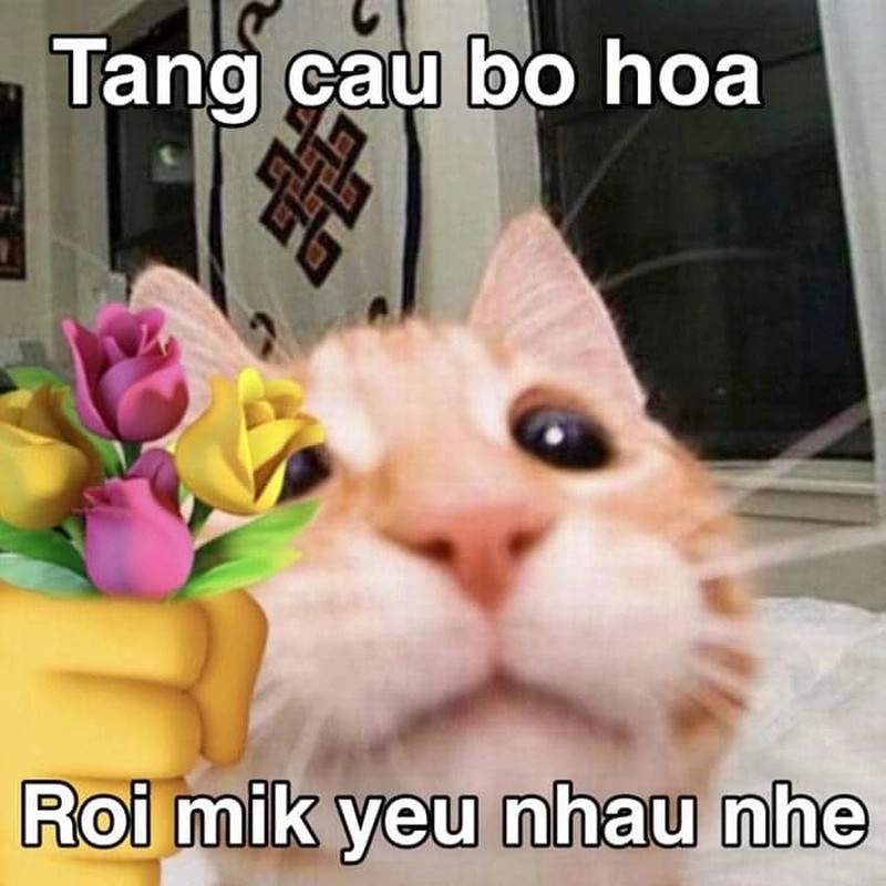 Ảnh meme mèo tình yêu ngọt ngào và đáng yêu, là cách đơn giản nhưng hiệu quả để thể hiện tình cảm của bạn.