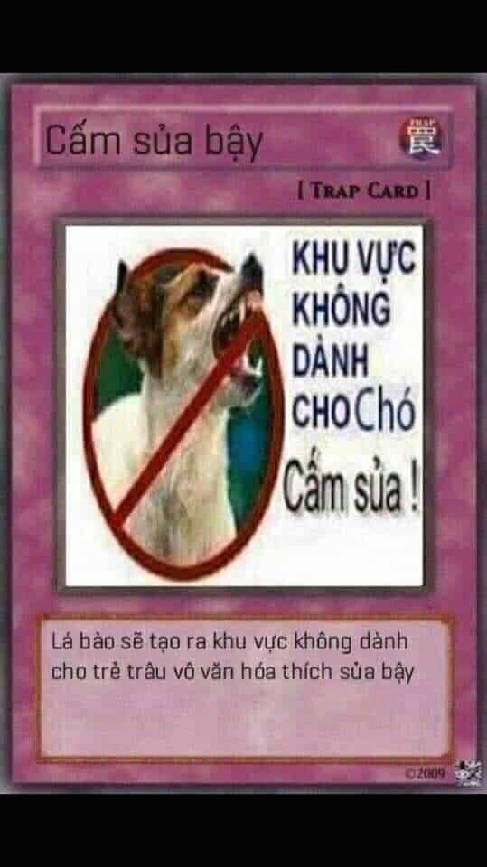 Bộ bài yugioh meme mang đến những trận đấu hấp dẫn và đầy sáng tạo.