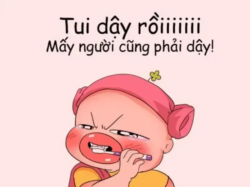 Tìm ảnh đại diện Zalo đẹp giúp bạn lựa chọn hình ảnh phù hợp với phong cách cá nhân!