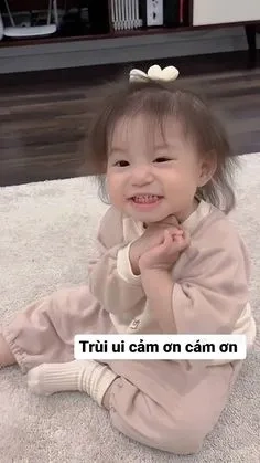 Chó meme hài bựa cực kỳ vui nhộn, tạo thành trào lưu cười lớn.