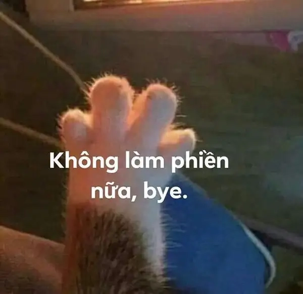 Khoảnh khắc tạm biệt ngập tràn tiếng cười với meme tạm biệt hài hước vui nhộn.