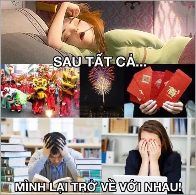 Tạo ngay avt tết meme độc đáo để chào đón năm mới.