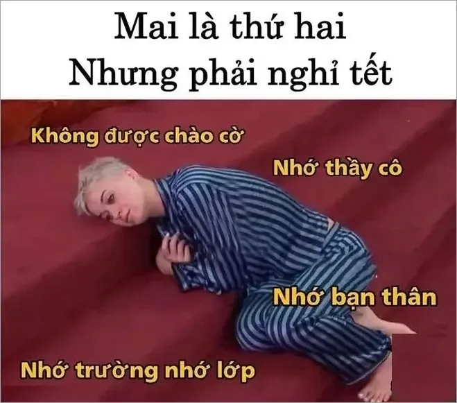 Meme tet cheems tết dễ thương khiến không khí thêm rộn ràng.