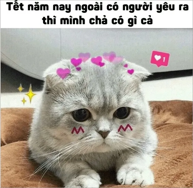 Meme ảnh tết vui nhộn cho mùa xuân tràn ngập niềm vui.