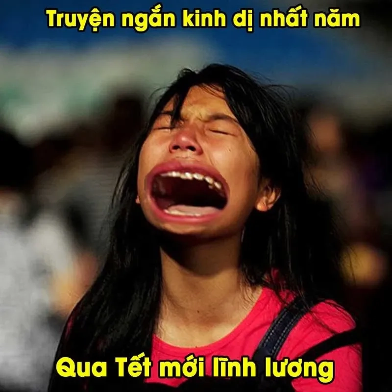 Đổi ngay avatar tết meme con mèo để Tết thêm phần đáng yêu.