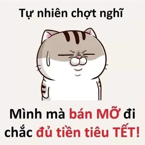 Thêm vui nhộn với ảnh meme tết mèo độc đáo.