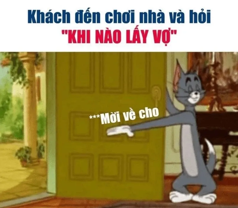 Avatar mèo meme tết dễ thương khiến Tết thêm ý nghĩa.