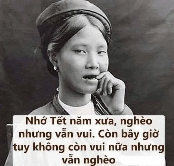 Khám phá hình mèo meme tết dễ thương cho dịp Tết.