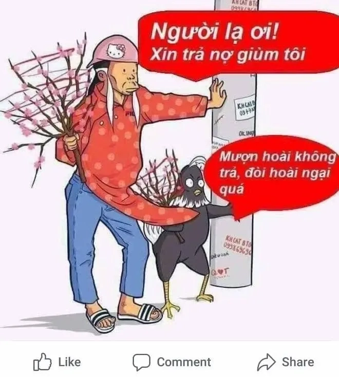 Thêm tiếng cười với tết meme mèo đầy ngộ nghĩnh.