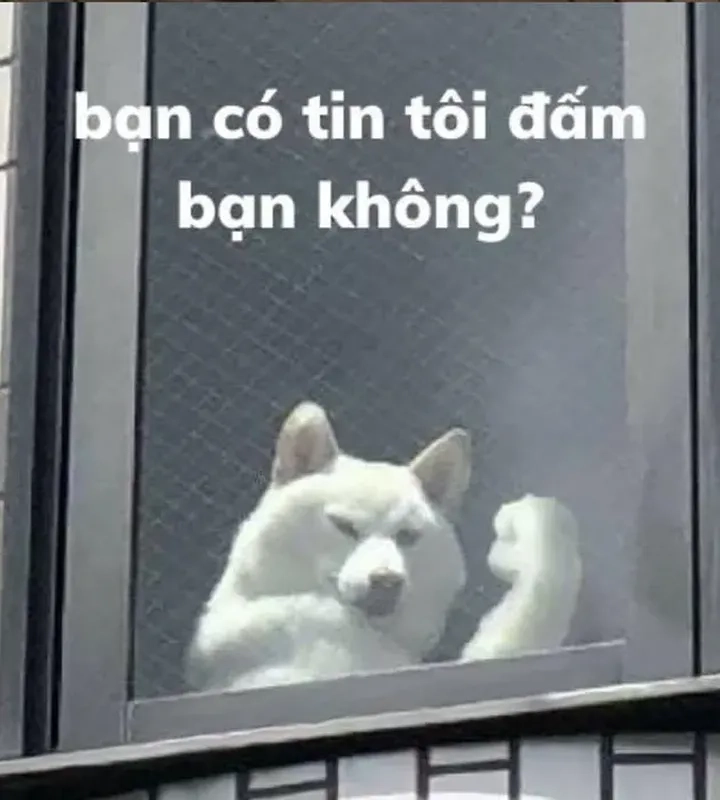 Ảnh avatar meme hài bựa cực kỳ vui nhộn sẽ giúp bạn thu hút sự chú ý từ bạn bè