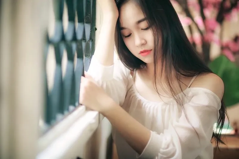Cập nhật avatar mèo cute dễ thương, giúp bạn thể hiện phong cách ngọt ngào