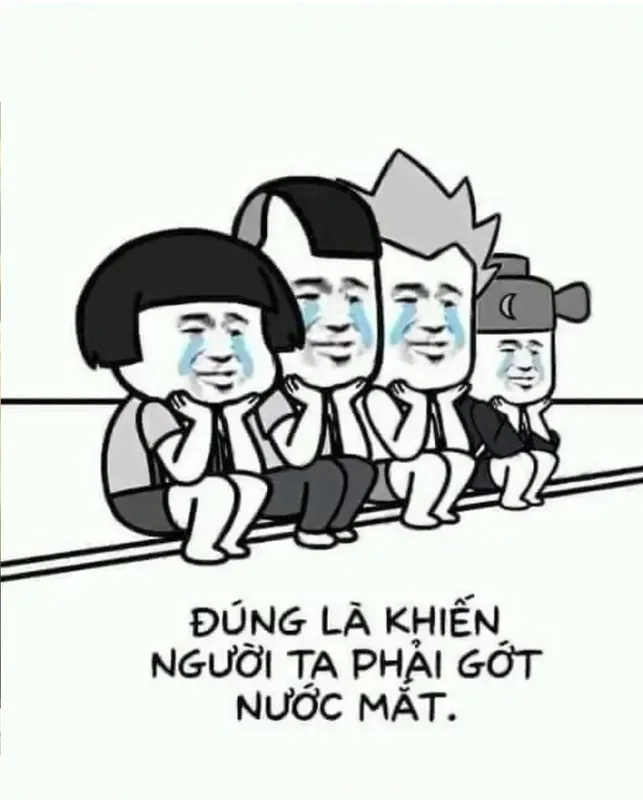 Avatar meme mèo bựa mang lại vẻ đáng yêu nhưng cũng không kém phần 