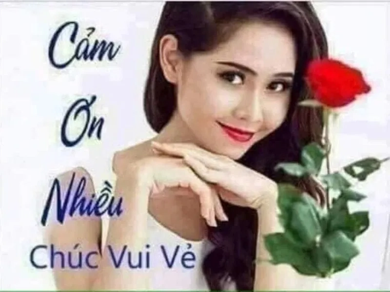 Cảm ơn mọi người đã lắng nghe meme dễ thương và hài hước.