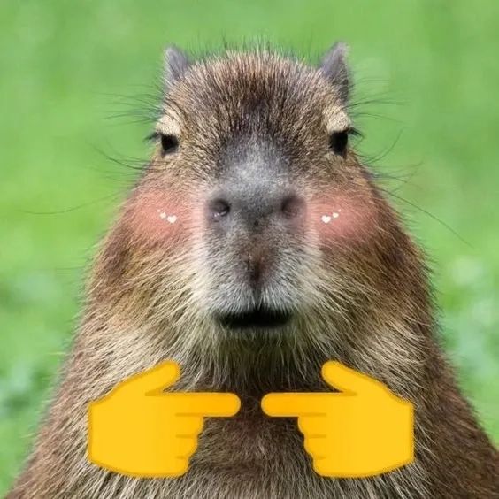 Tận hưởng khoảnh khắc capybara cute meme siêu đáng yêu.