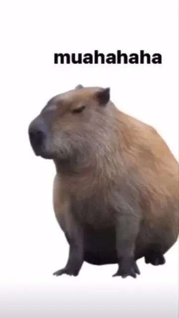 Say đắm trước meme capybara màu hồng siêu xinh.