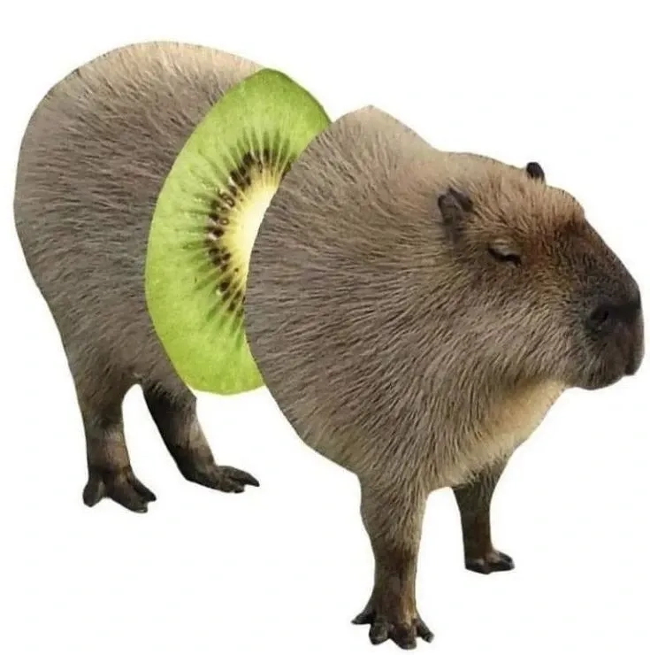 Say đắm trước capybara hồng meme độc lạ.