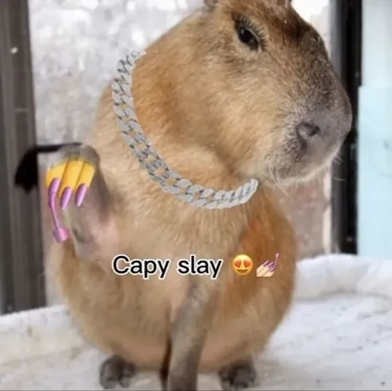 Cập nhật capybara know your meme hot nhất hiện nay.