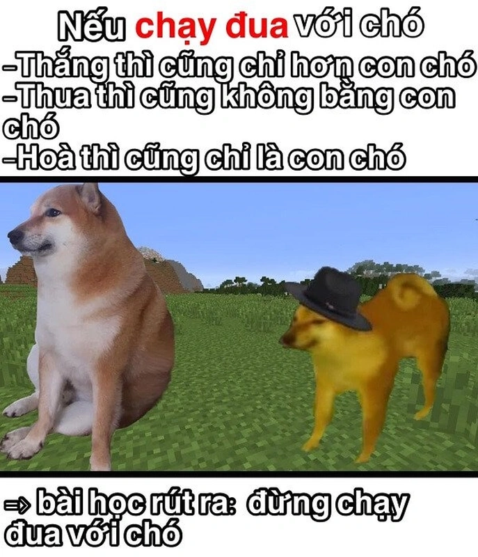 Meme Shiba Bonk mang đến những khoảnh khắc hài hước và cực kỳ đáng yêu từ chú chó Shiba Inu.