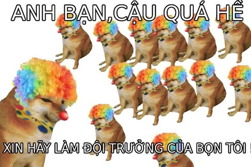 Meme Shiba Inu không chỉ dễ thương mà còn cực kỳ hài hước, khiến mọi người không thể không chia sẻ.