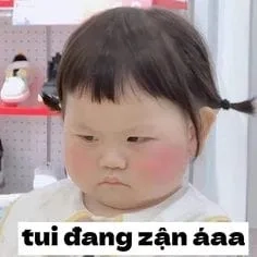 Ảnh mèo khóc meme rất thích hợp để diễn tả cảm xúc tiếc nuối.