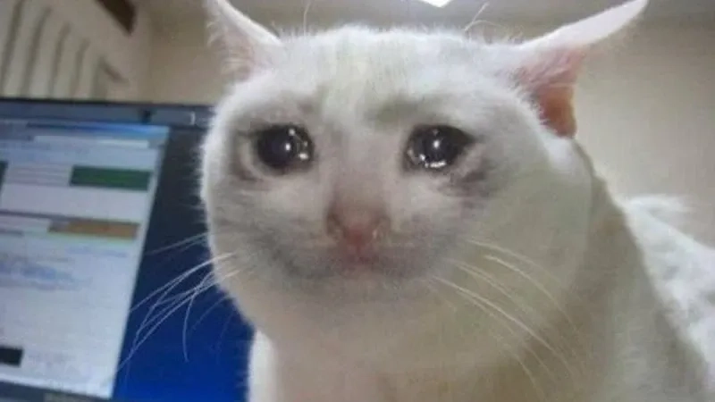 Banana cat cry meme khiến bạn không thể nhịn cười, cực kỳ dễ thương.