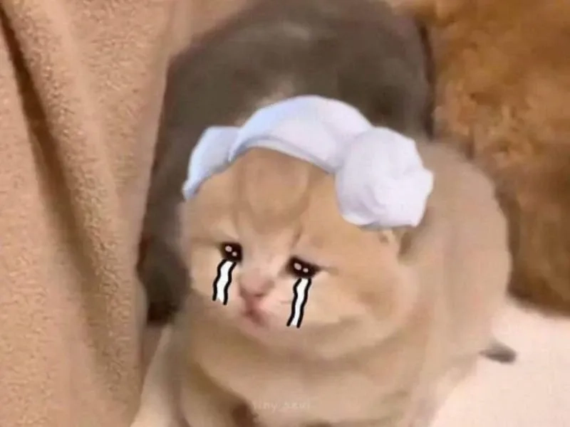 Crying meme emoji cực kỳ dễ thương, làm cho bạn không thể không bật cười.