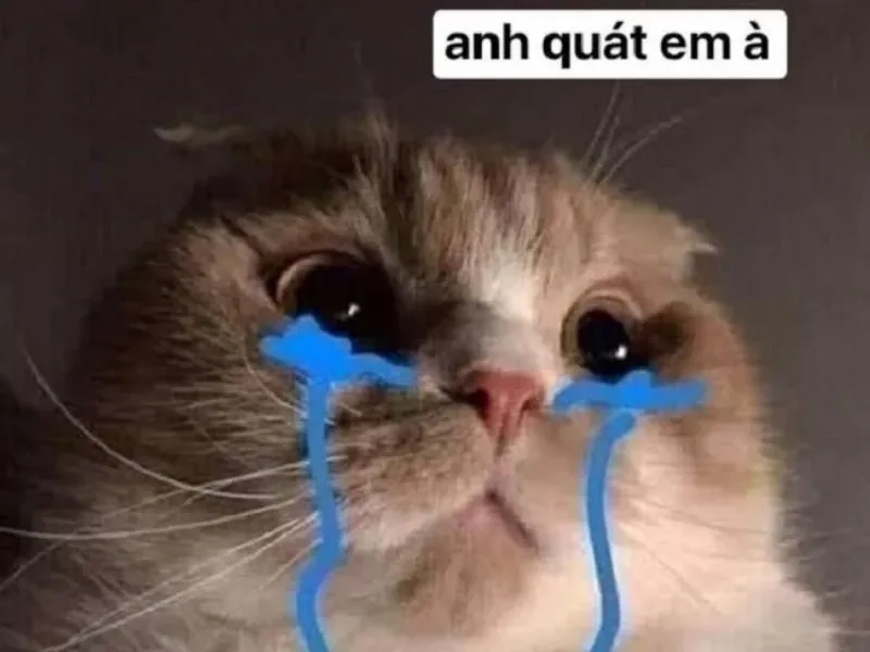 Crying meme drawing cực kỳ dễ thương, sẽ khiến bạn không thể rời mắt.