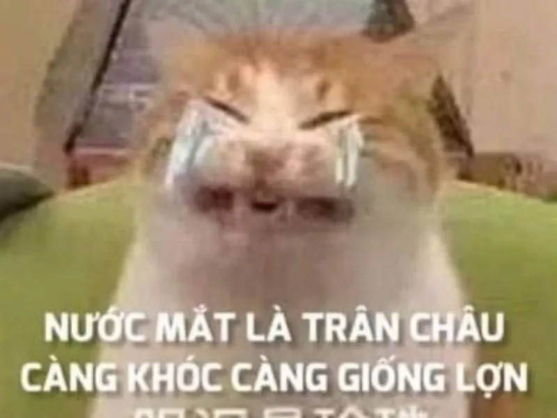 Man crying meme mang đến một cảm xúc mạnh mẽ và đầy hài hước.