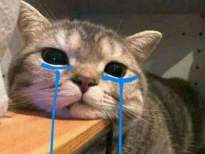 Crying girl and chad meme là sự kết hợp giữa cảm xúc và hài hước rất đặc biệt.