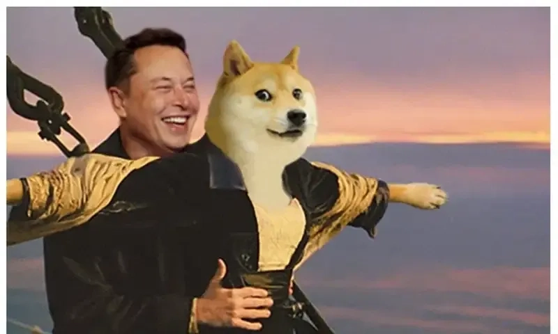 Ảnh doge meme hài hước, cực kỳ dễ thương và thú vị!