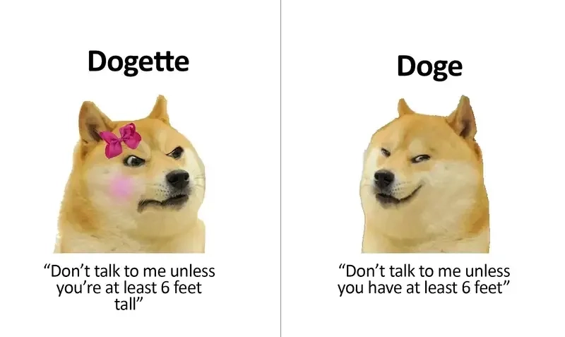 Ảnh meme doge thú vị mang đến tiếng cười bất tận!