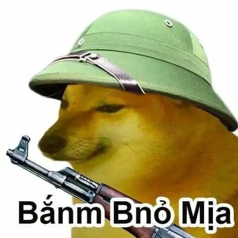 Meme doge việt nam luôn mang đến sự vui nhộn cho cộng đồng!