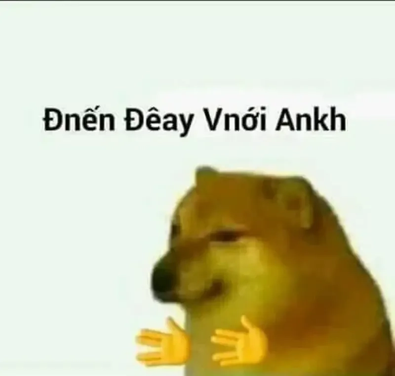 Doge bonk meme cực kỳ hài hước, khiến ai cũng phải bật cười!