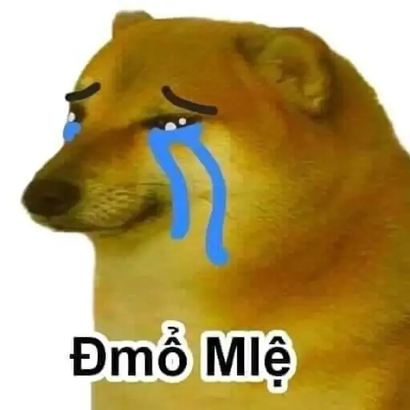 Cheems doge meme png dễ thương đến mức không thể bỏ qua!