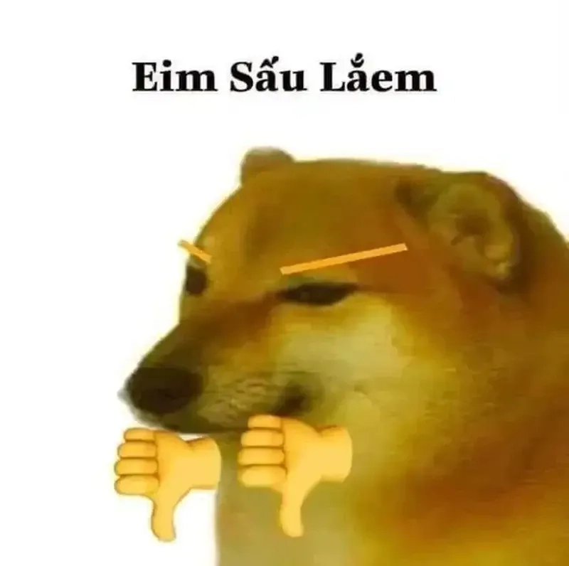 Doge (meme) chết sẽ mang đến cho bạn những khoảnh khắc vui nhộn.