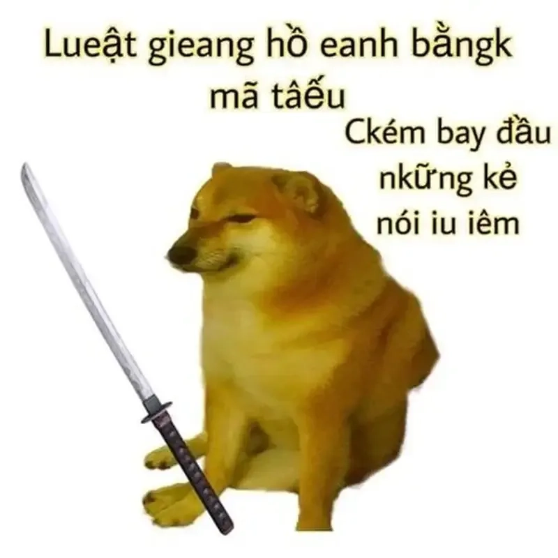 Hình doge meme đáng yêu, làm bừng sáng mọi không gian.