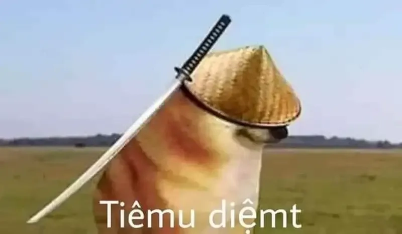 Meme dog cheems cực kỳ đáng yêu và thú vị, bạn không thể bỏ qua!