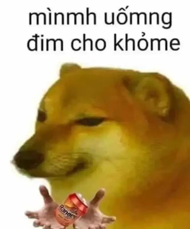 Dog meme funny mang đến những phút giây thư giãn vui nhộn cho bạn!