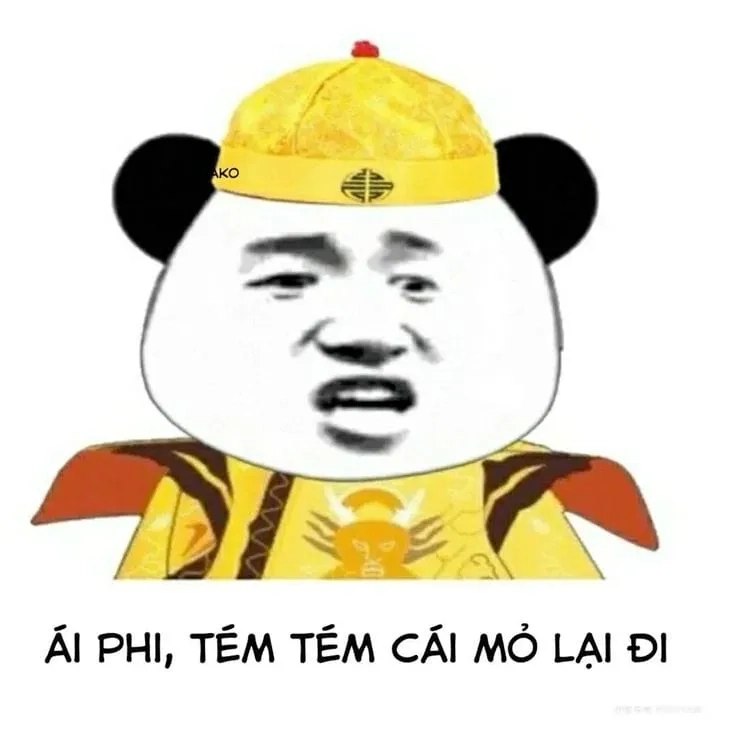 Quần meme siêu thú vị, chắc chắn sẽ làm bạn cười.