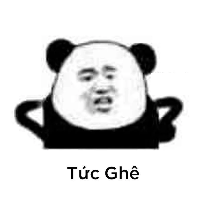 Gấu trúc meme mắt thâm thể hiện những khoảnh khắc ngộ nghĩnh.