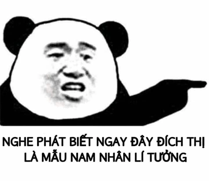 Meme gấu trúc weibo với những biểu cảm dễ thương không thể bỏ qua!