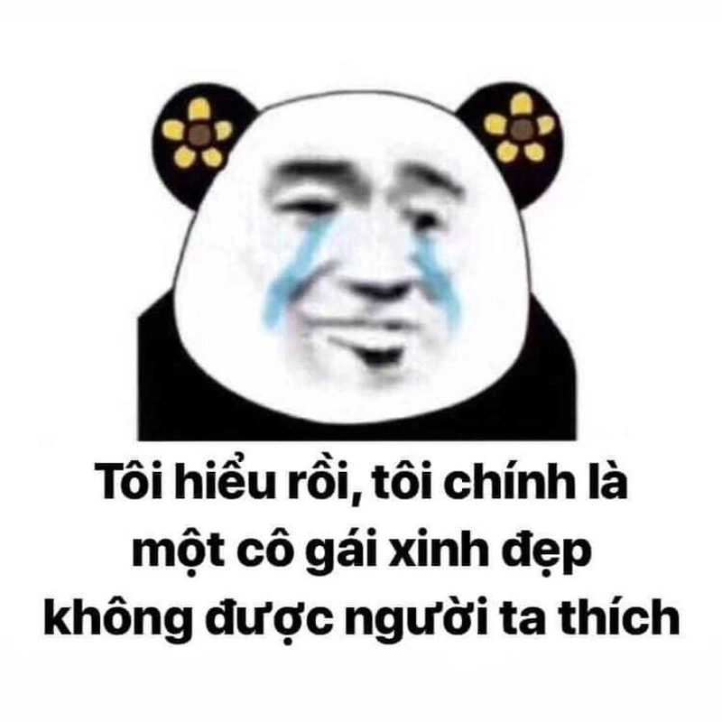 Meme gấu trúc cute giúp bạn thư giãn và cảm thấy vui vẻ hơn.