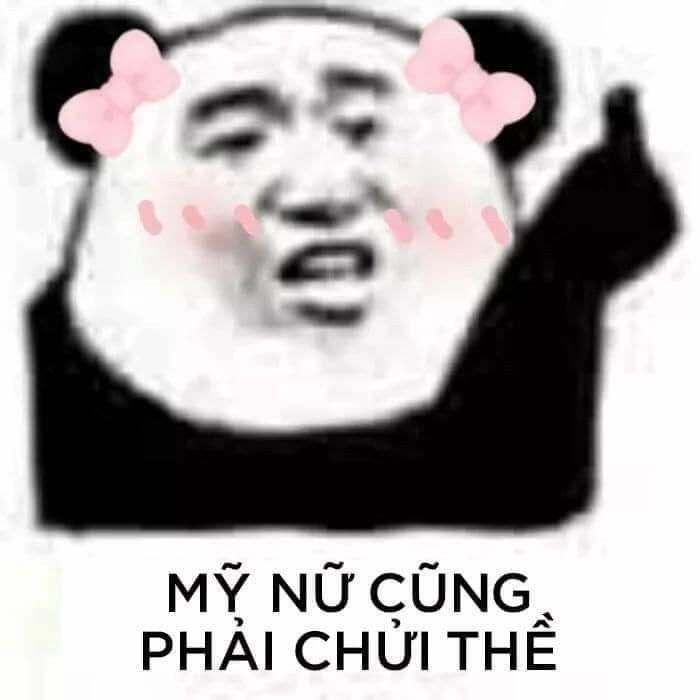 Ảnh chế meme gấu trúc sẽ mang lại tiếng cười bất tận!