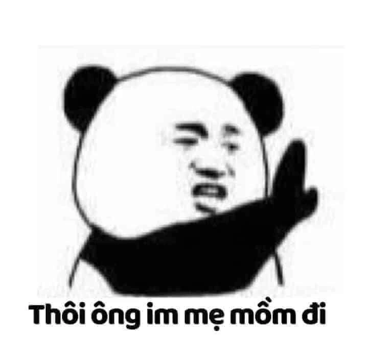 Ảnh meme gấu hài hước mang đến những khoảnh khắc thú vị.