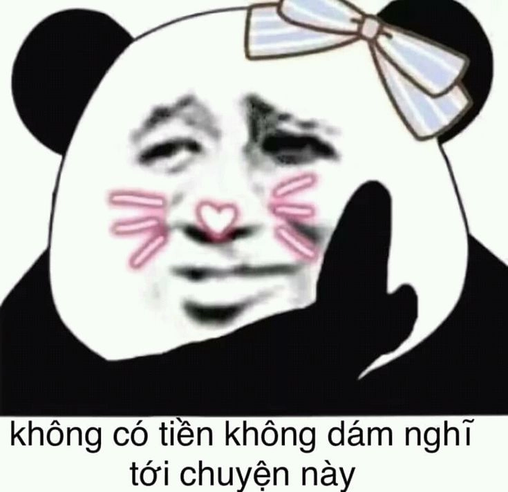 Ảnh meme gấu trúc ngộ nghĩnh khiến bạn cười nghiêng ngả!