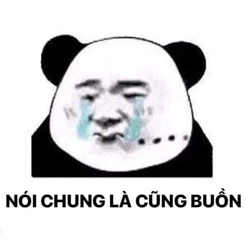 Meme con gấu luôn làm bạn phải bật cười vì sự đáng yêu.