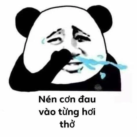 Meme gấu trúc buồn đem lại những cảm xúc bất ngờ và dễ thương.