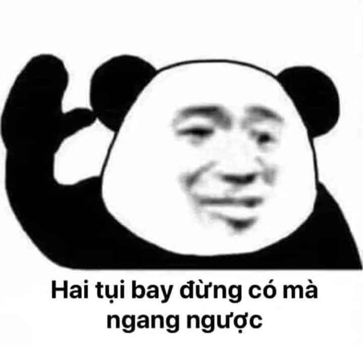 Meme gấu trúc thật khiến bạn không thể nhịn cười với những biểu cảm chân thật.