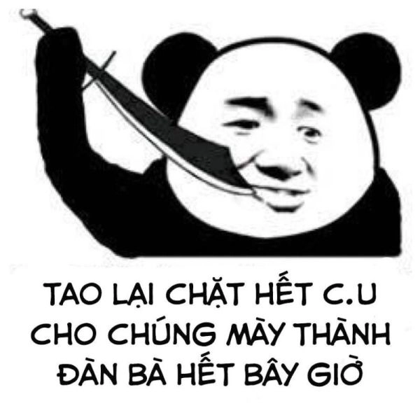 Meme gấu trúc ngạc nhiên làm bạn không thể nhịn cười!